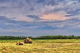 Working A Hay Field_12571